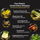 TAURO PRO LINE Herbal Detox Shampoo 400 ml thumbnail
