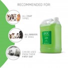 Artero Basic Shampoo 5 L thumbnail