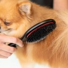 TAURO PRO LINE Prestige Boar Bristles With Nylon - Large thumbnail