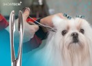 Show Tech+ Safety Ear Forceps 14 cm thumbnail