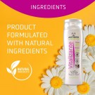 Artero Vitalizante Shampoo 5 L thumbnail