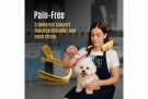 TAURO PRO LINE Pet Hair Dryer with Flexible Neck, Orange thumbnail
