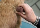 Show Tech Groom Stone Dark Brown thumbnail
