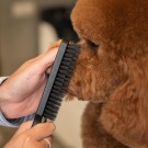 TAURO PRO LINE Natural Boar Bristles Long thumbnail