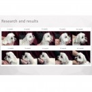 NPSC White Dog Grain Free Insect Adult Small Breed 1.5 kg thumbnail