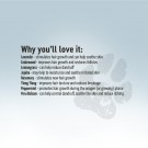 TAURO PRO LINE Fur Growth Conditioner 400 ml thumbnail